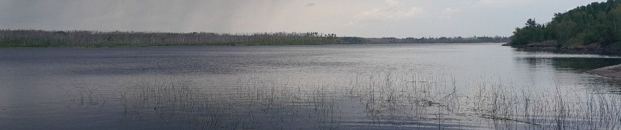 VinxVeli