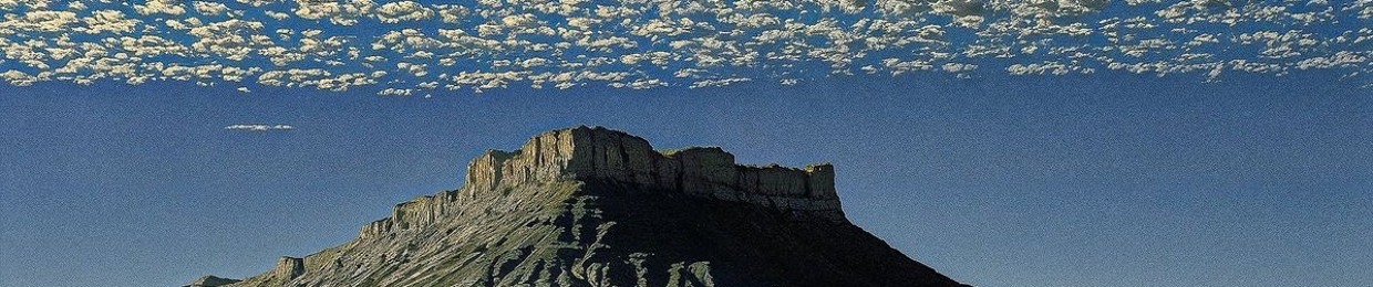 bugofrok