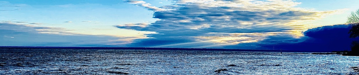 eyes in the sky
