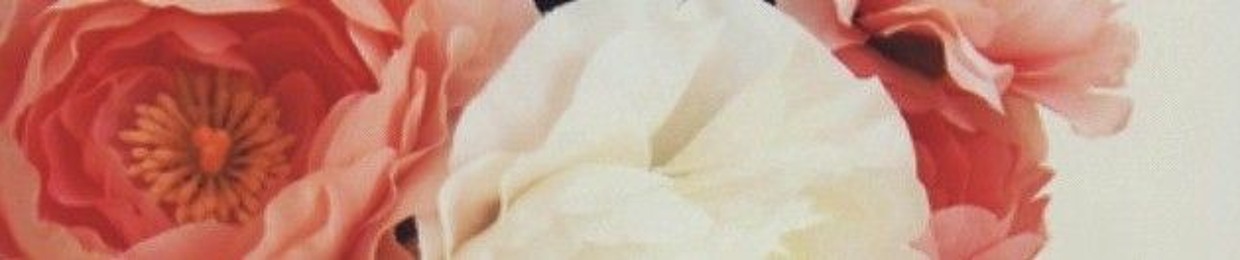 Bae Hasna