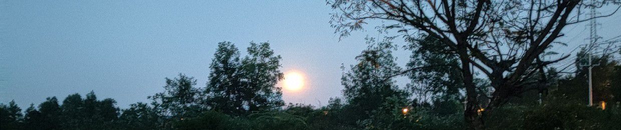 Nguyễn Trung Tín