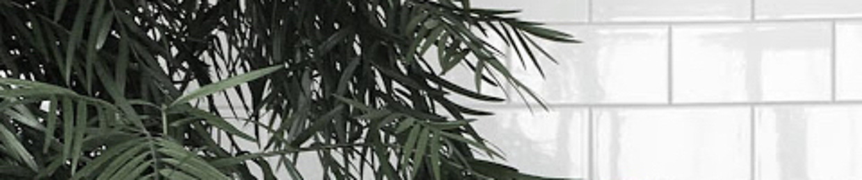 a stranger on the internet