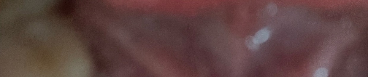 kissmygravestoneฅ(⌯͒• ε •⌯͒)ฅᵐʷᵃʰ❣