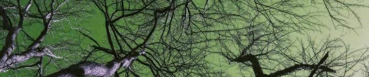 Bruno França (bARF)