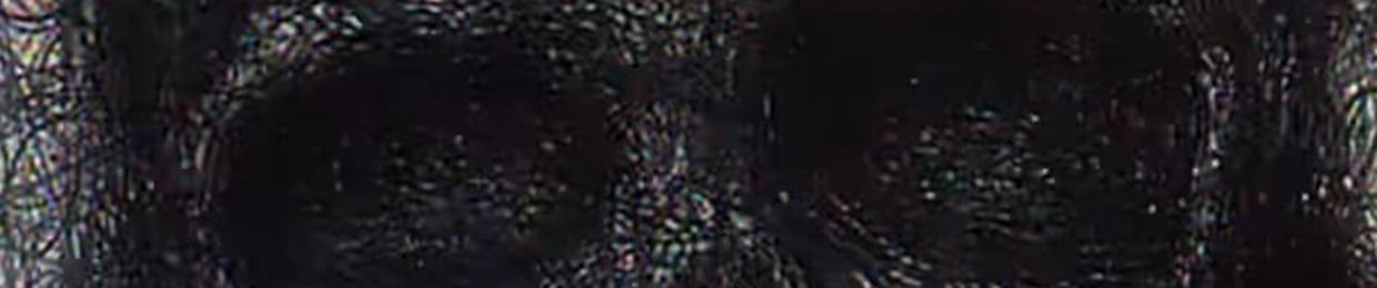 G2