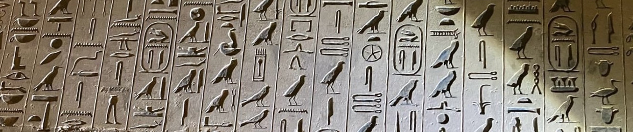 AMR YAHYA | عمرو يحيي