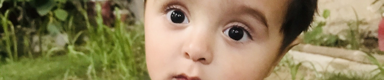 Syedullah Mandokhail