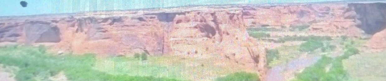 Antonio Carroll Navajo Artist