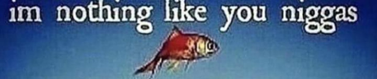 Daily Memeist