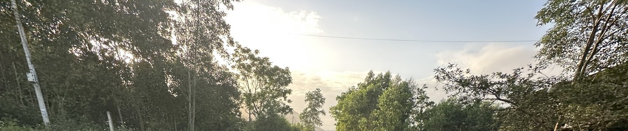 BẢO BÉ