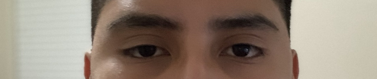 IBARRA