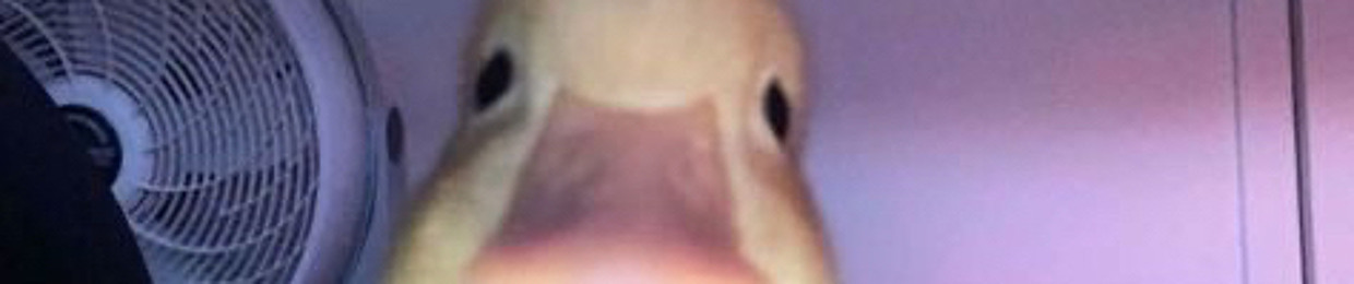 Big Duck Energy