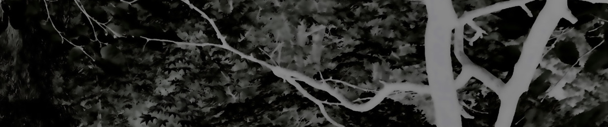 紅生姜・RED GINGER