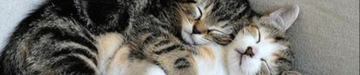 jorgeelm010101010101