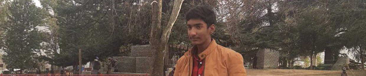 sardar hashir