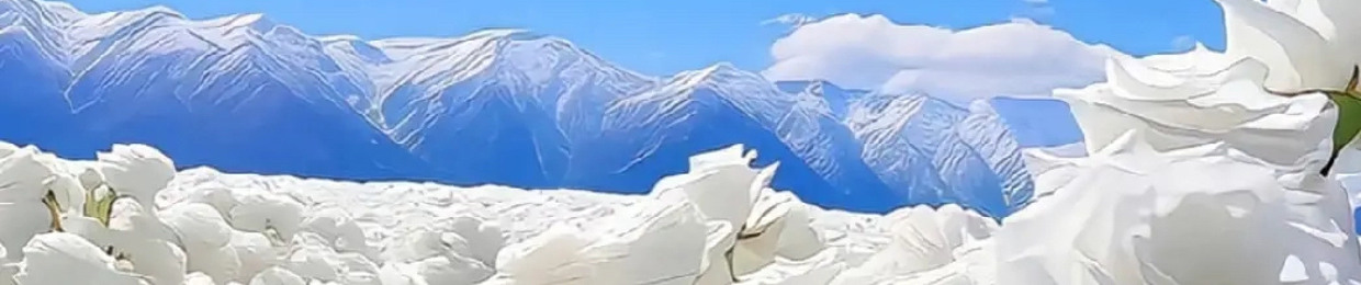 Nguyễn Bảo