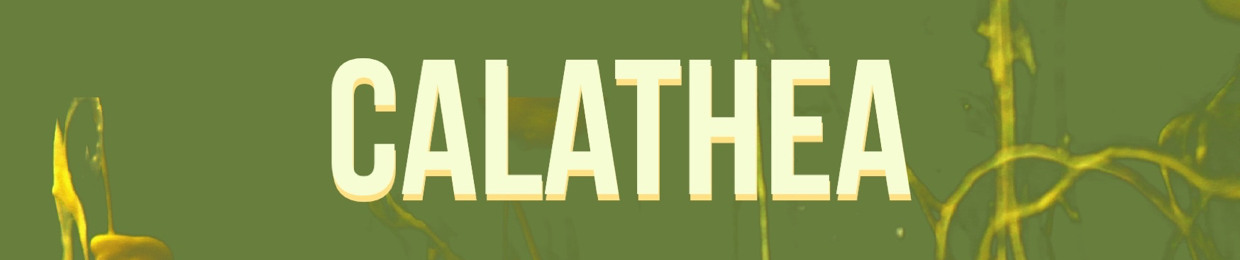 calathea