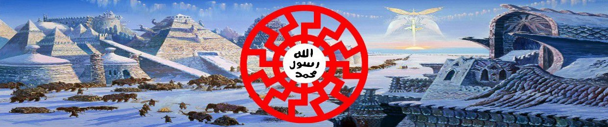 Omar4953