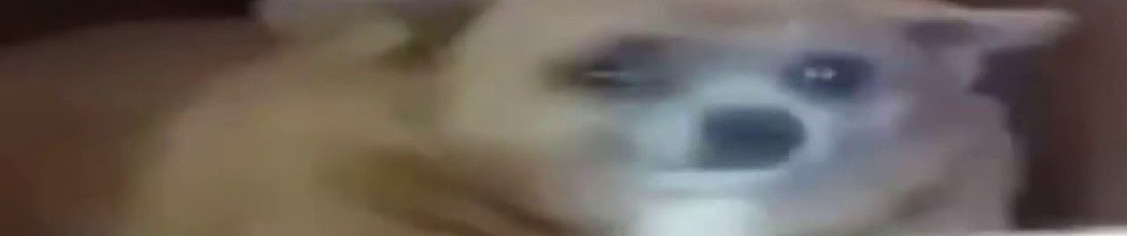 @badtimesaheadkidyt