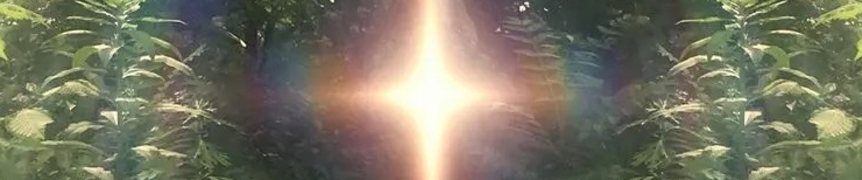 brook ★~(◡﹏◕✿)