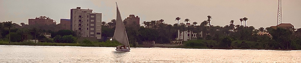 Sameh Moussa