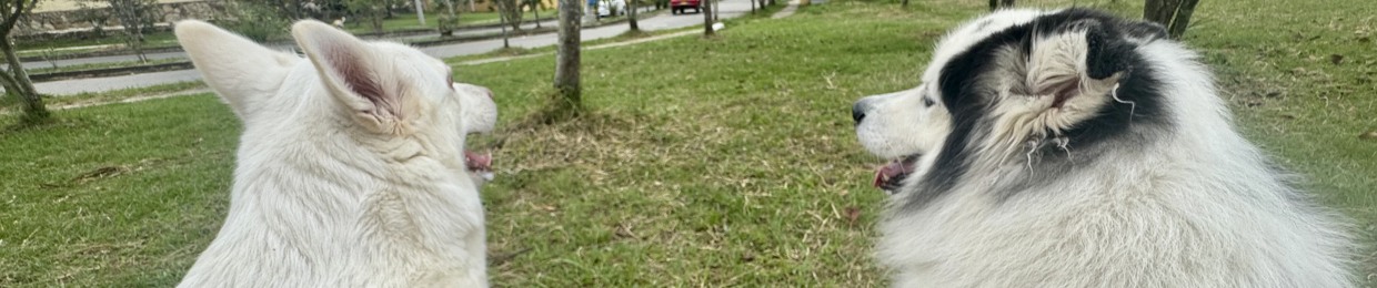 Santos