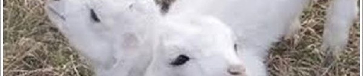 산성