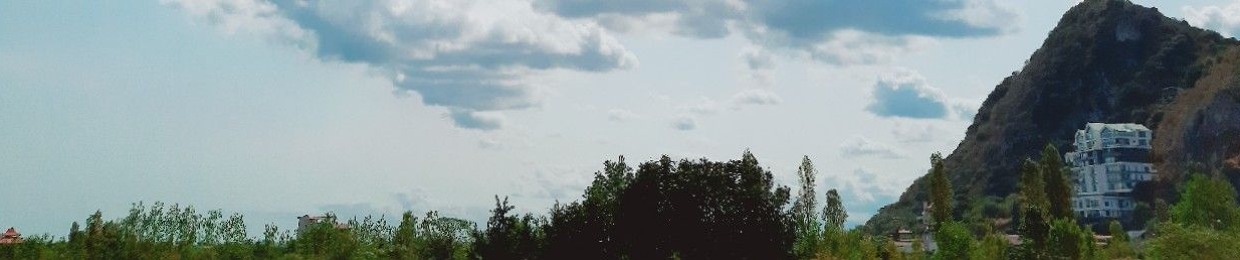 Elahe.Aliyari  .🌱.