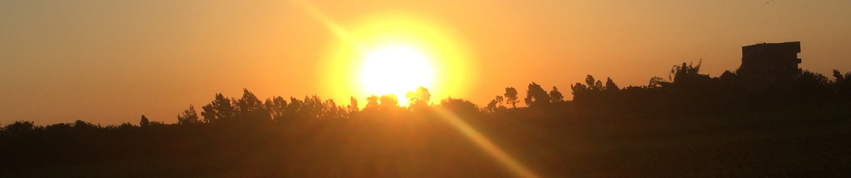 Amro Abdel-Hamied Aisha