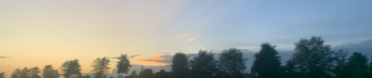 Benjamin Pierre Louis Jr.