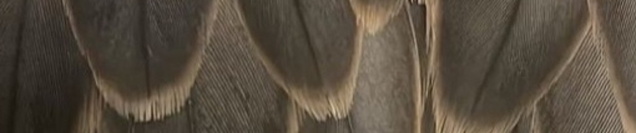 ع