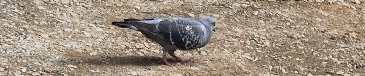 사클초보-늅늅이