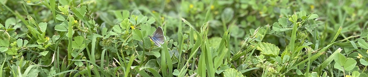 π€ππ₯π’ π