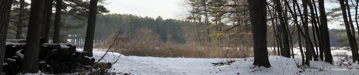 Ben Lang