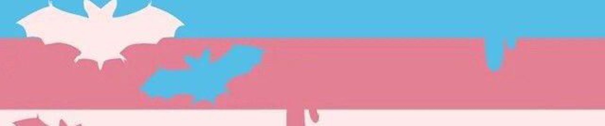The transs🏳️‍⚧️