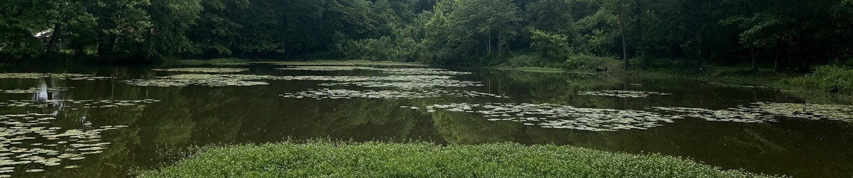 foryourpatience(@foryourpatience)