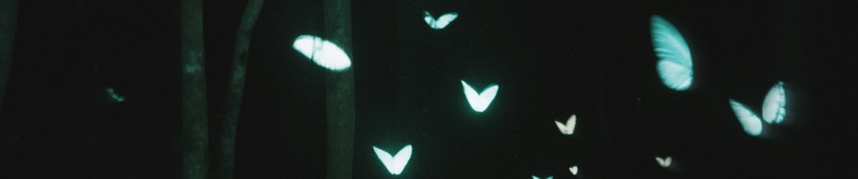 kishiimu