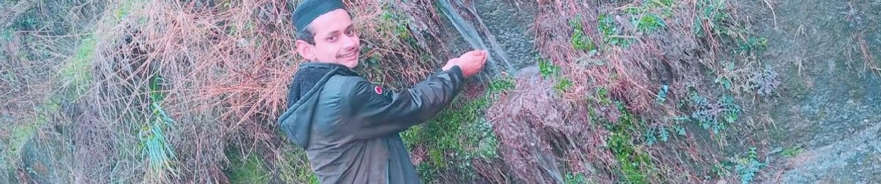 Muhammad Huzaifa Jutt