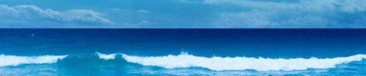 Ahmed Fat'hy Abd ElMalek