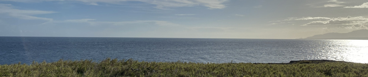 M I C R E N A I S S A N C E ๐ฟ