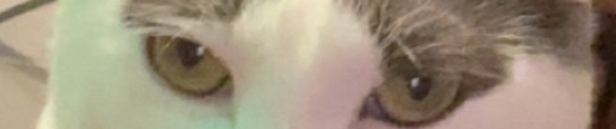 bigTY