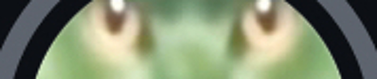 infxnitai2 (zim’s rare/deleted songs)