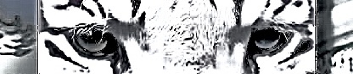 ss0ldi3r