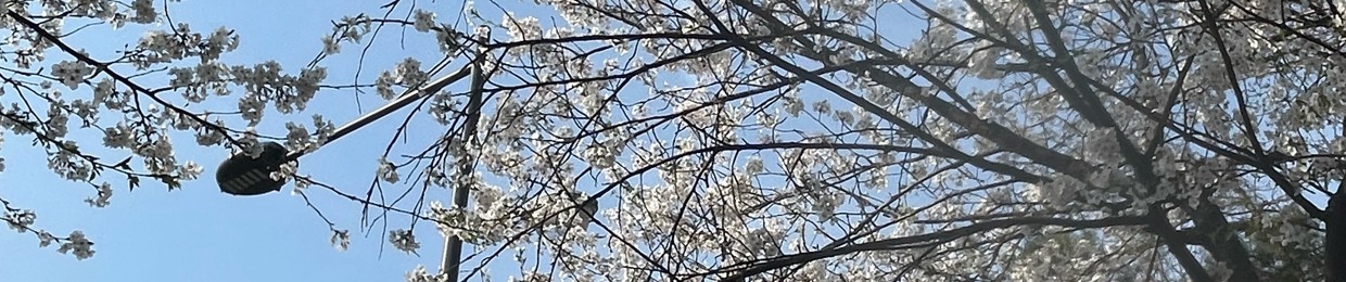 서건