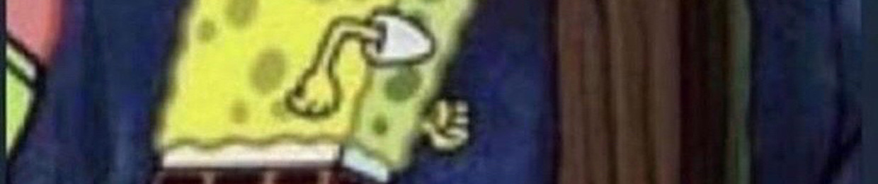 LSI E