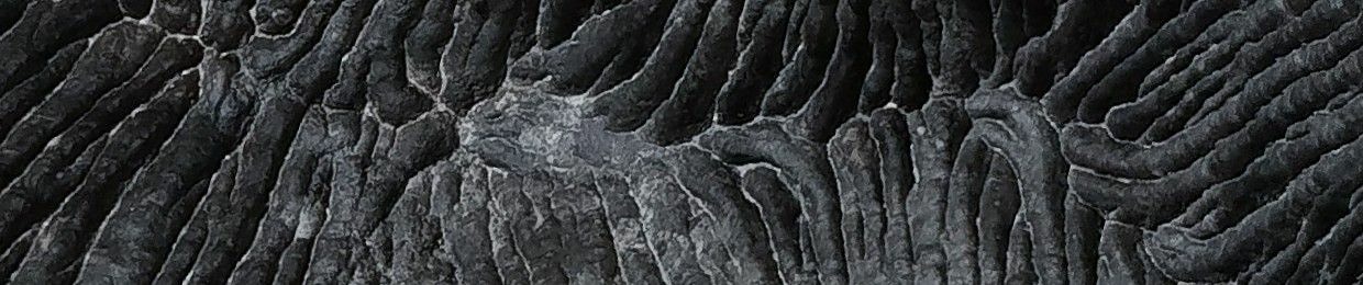 Skogsrå