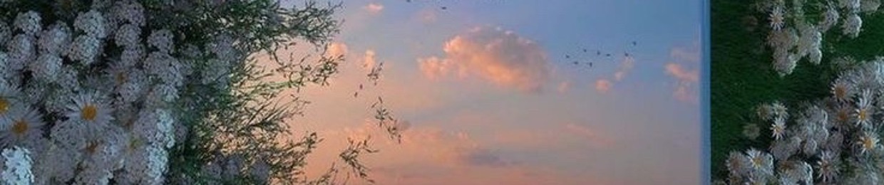 Sol del Cielo