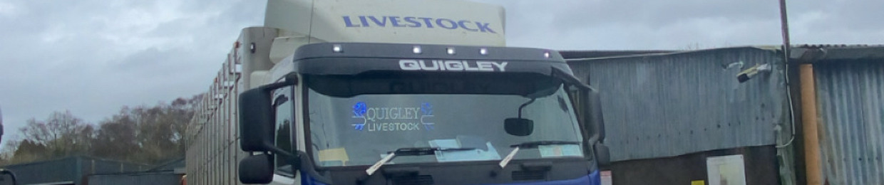 James Quigley