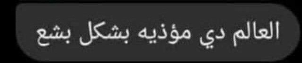 Soliman Tarek