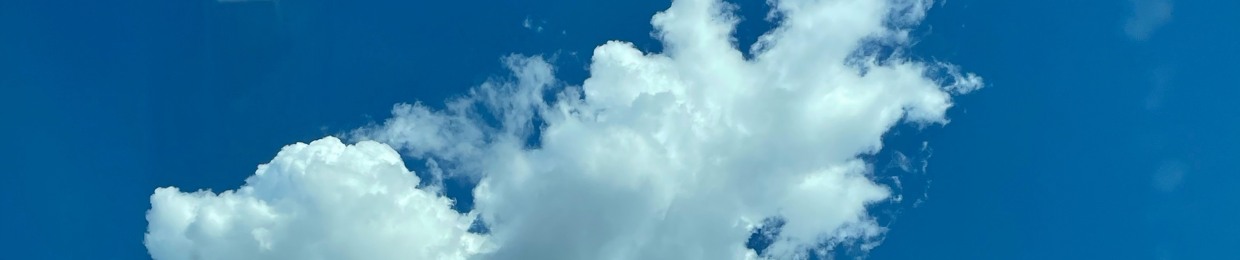 fat fox 🦊💙🤞🏽🙅🏾‍♂️